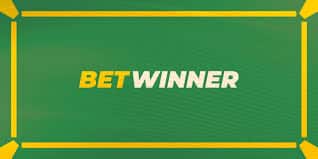 Comment vérifier votre coupon Betwinner facilement 